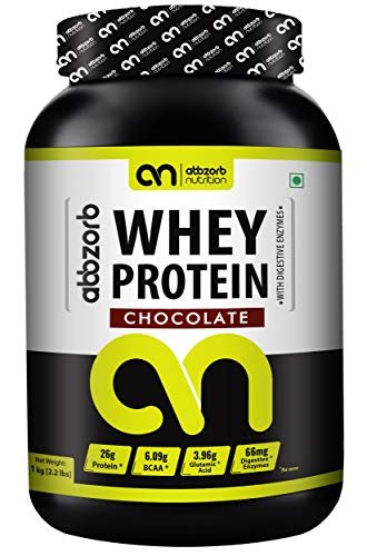 Abbzorb Nutrition Whey Protein 26g Protein
