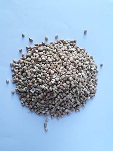 EasyBee Buckwheat 1kg - Image 4