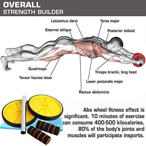EVERYONIC Single Spring Tummy Trimmer and Double Wheel AB Roller Combo for Abs Core Abdominal Workout Back Exercise Strength Training Home Gym Equipment Fitness Body Toner for Men and Women - Image 4