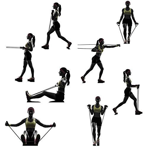 VIHAX Resistance Bands Portable Exercise Elastic Bands - Fitness Resistance Bands with Handles Natural Rubber Latex Bands 11PCS with Exercise Tube Bands, Door Anchor, Ankle Straps, Carry Bag - Image 5