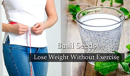 Exotica Fresh Basil Seeds, Tukmariya Seeds, Sabja Seeds | Falooda Seeds use for Natural Weight Loss - Image 4