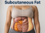 visceral fat vs subcutaneous fat